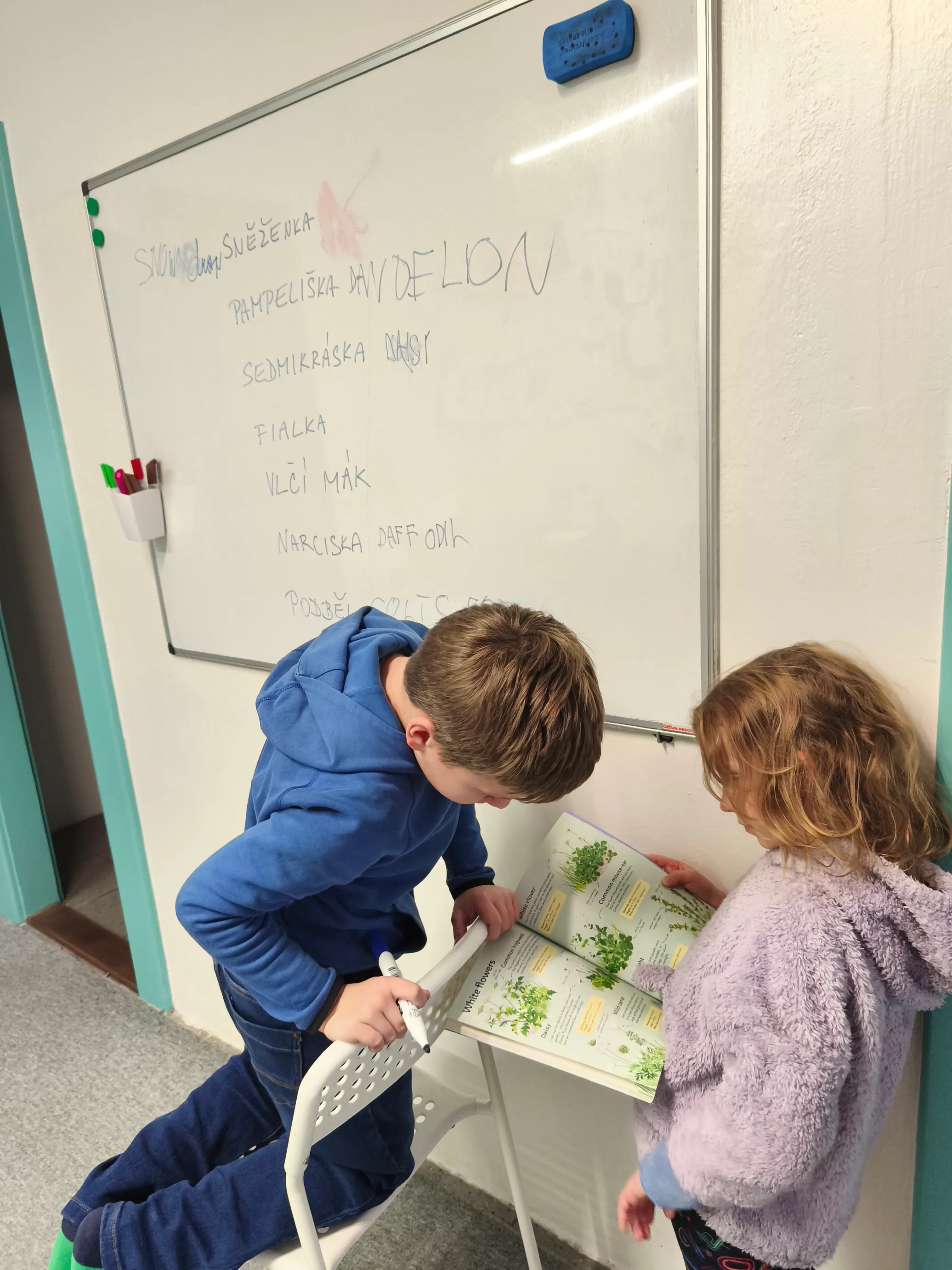 English Club - Sunrise Language Agency